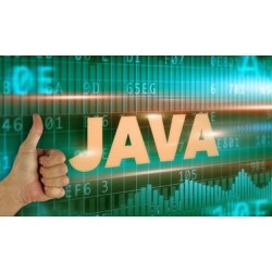 Introducción a la programación en Java: estructuras de datos y algoritmos
